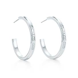 ティファニーきれいめアクセ3