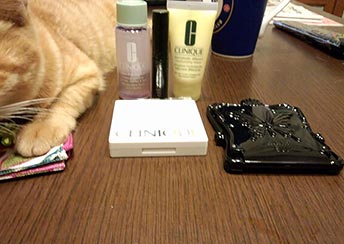 アナスイコンパクトミラー2