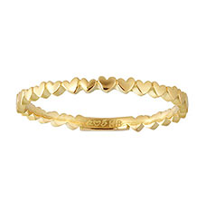 アーカーピンキーリング2