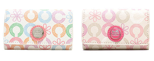 コーチキーケース3