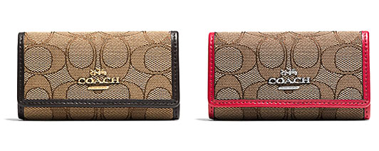 コーチキーケース2