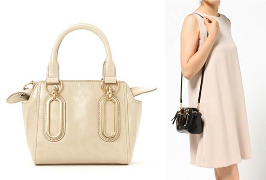 シーバイクロエバッグ1