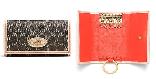 コーチキーケース3