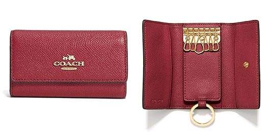 コーチキーケース2