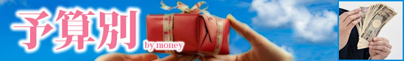予算別