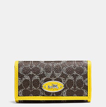 コーチキーケース3