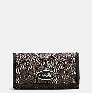 コーチキーケース2