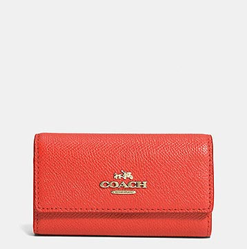 コーチキーケース2