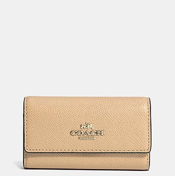 コーチキーケース1