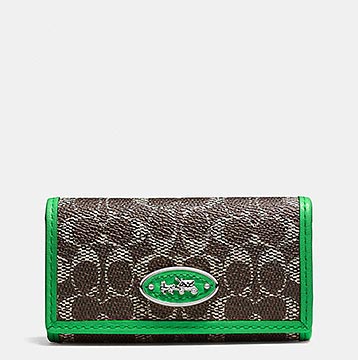 コーチキーケース1