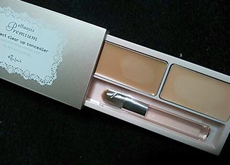 パーフェクトクリアコンシーラー2