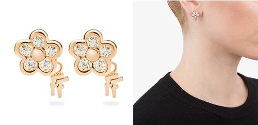 フォリフォリピアス1