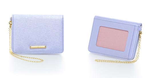 4℃バッグパスケース2