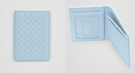 ボッテガパスケース2