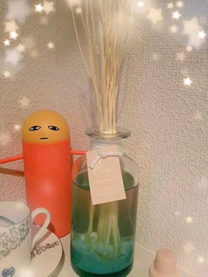 フランフランディフューザープレゼント2