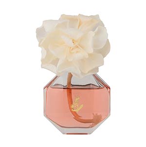 フランフランディフューザー1