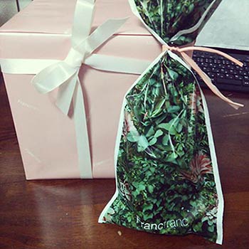 フランフランアロマプレゼント2