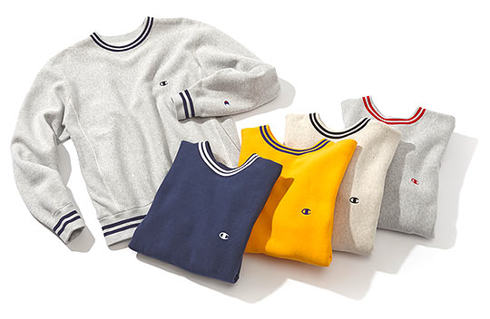 チャンピオントレーナー2