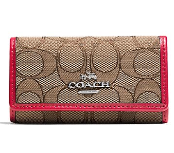 コーチキーケース2