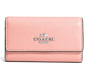 コーチキーケース1