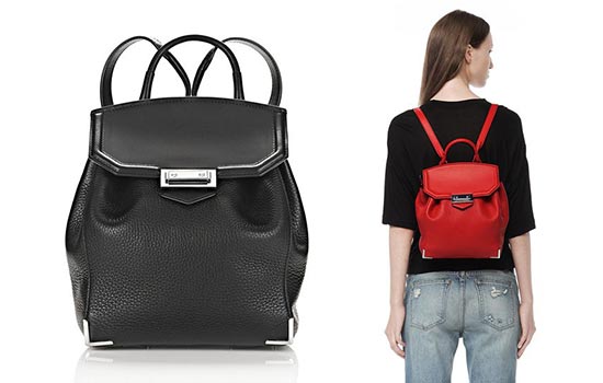 アレキサンダーワンリュック2