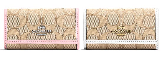 コーチキーケース3