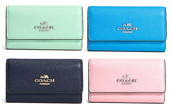 コーチキーケース2