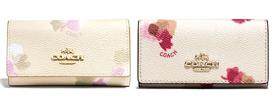 コーチキーケース1