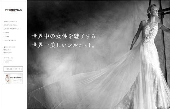 Aブロノビアス-アオヤマ