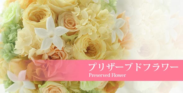 プリザーブドフラワー