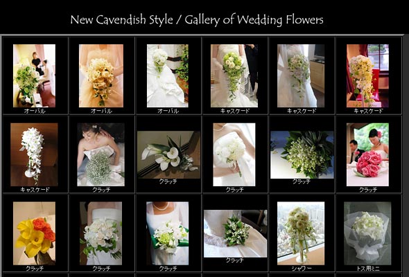 ニューキャベンディッシュ