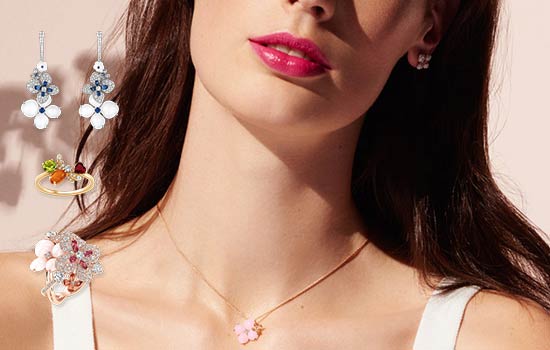 ショーメガーデン