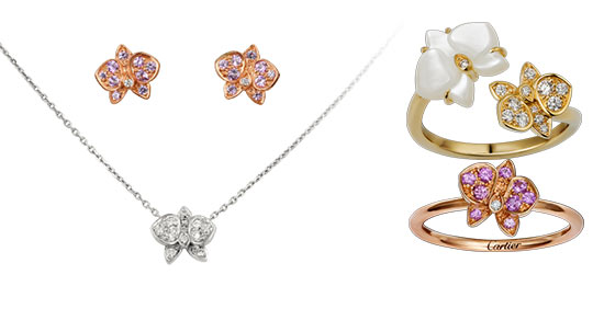 カレス-ドルキデ-パル-カルティエ