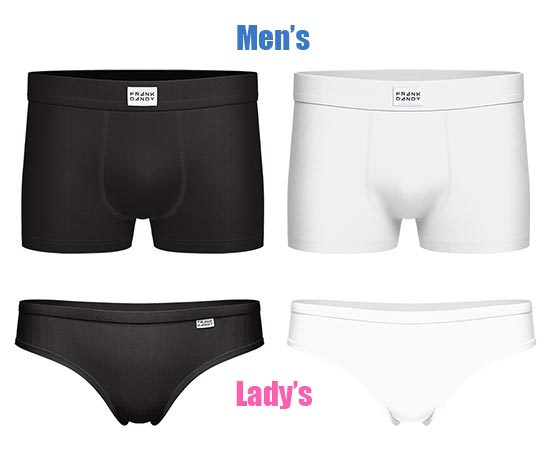 フランクダンディー4