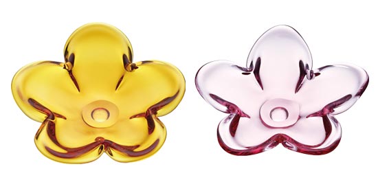 スガハラ-クッカ