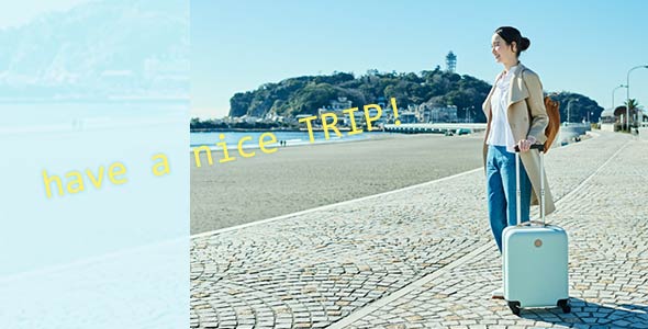 女性キャリーバッグブランド