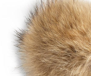 コヨーテファー