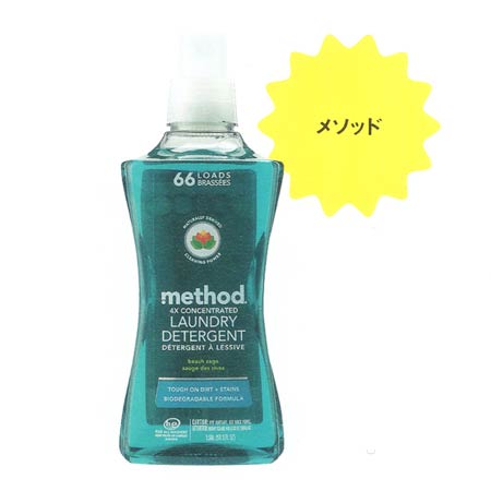 メソッド  ランドリーディタージェント