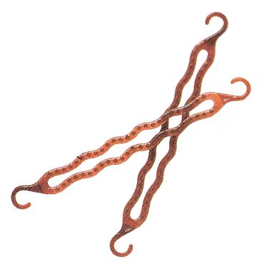 ヘアアレンジ シニヨンじょうず ミニミニ2P