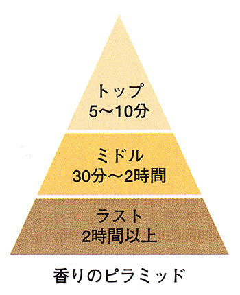 香りのピラミッド