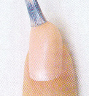 ネイル フレンチ セルフ