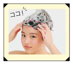 髪 洗い方ポイント