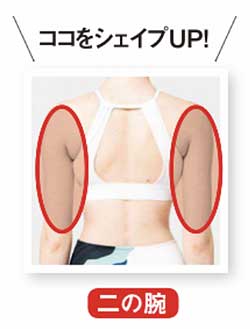 二の腕 やせ筋トレ3