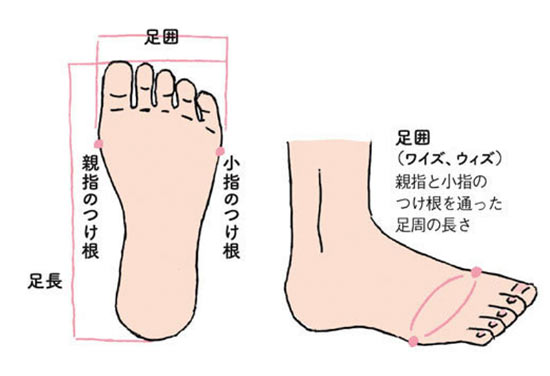 足のサイズ イラスト