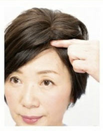 グラデージュ ウィッグ2