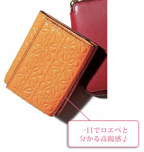 ロエベ ミニ財布3