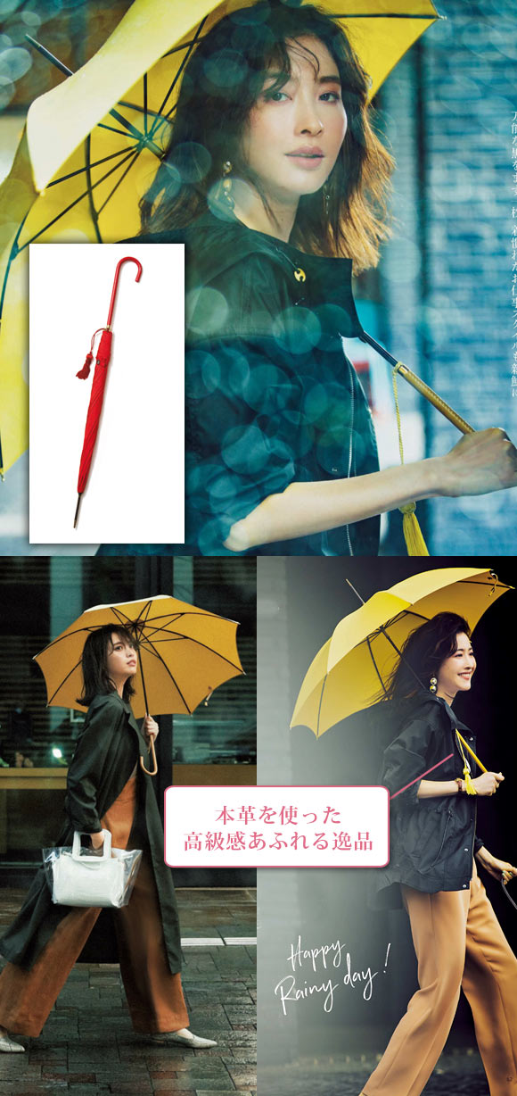 フォックスアンブレラ 傘2