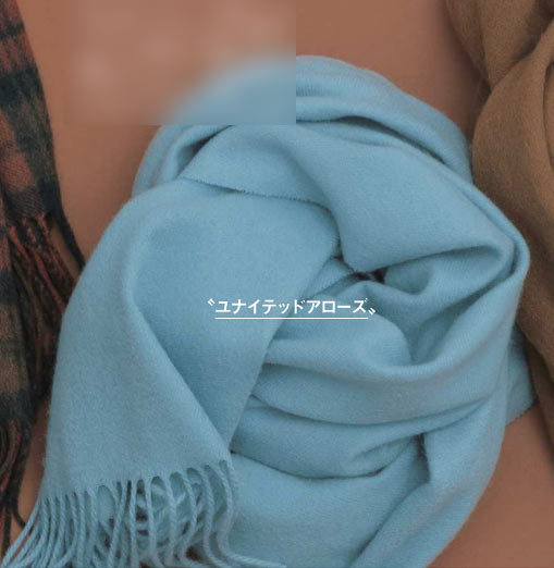 ユナイテッドアローズ ストール