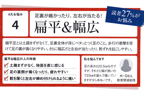 扁平・幅広 特徴