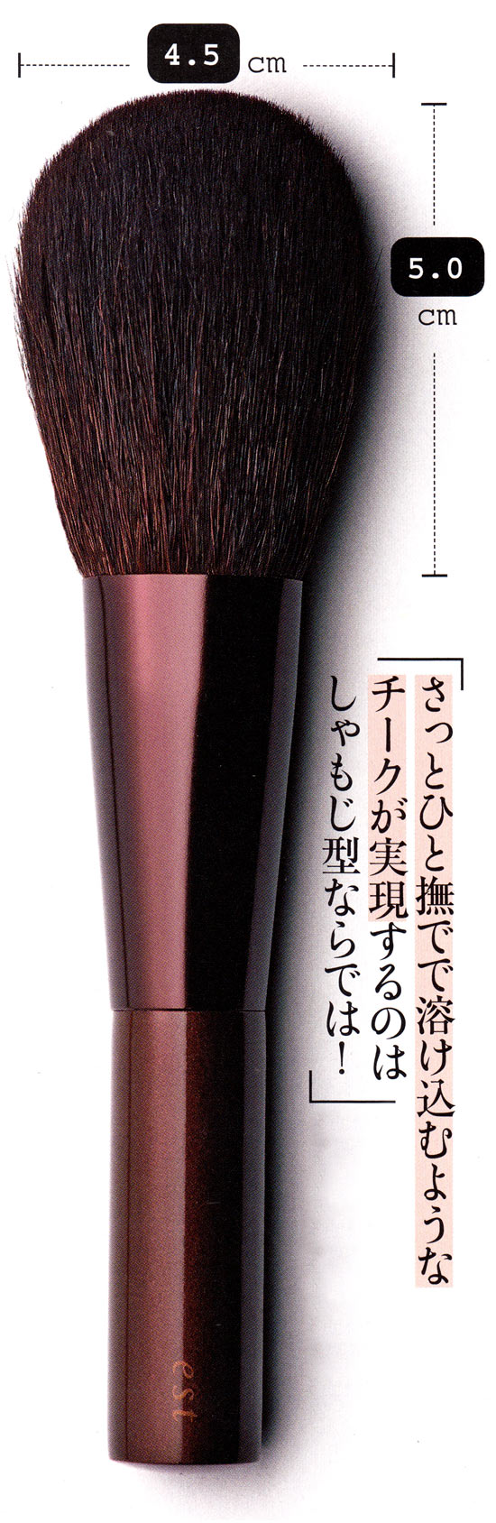 est フェイスブラシ